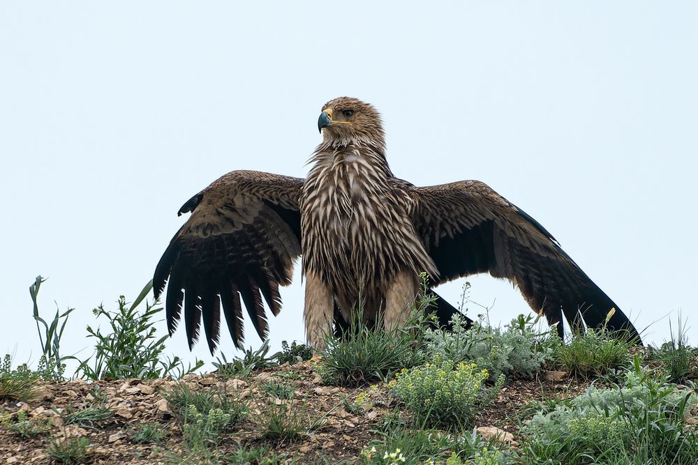 Photograph by Светлана Барабанщикова