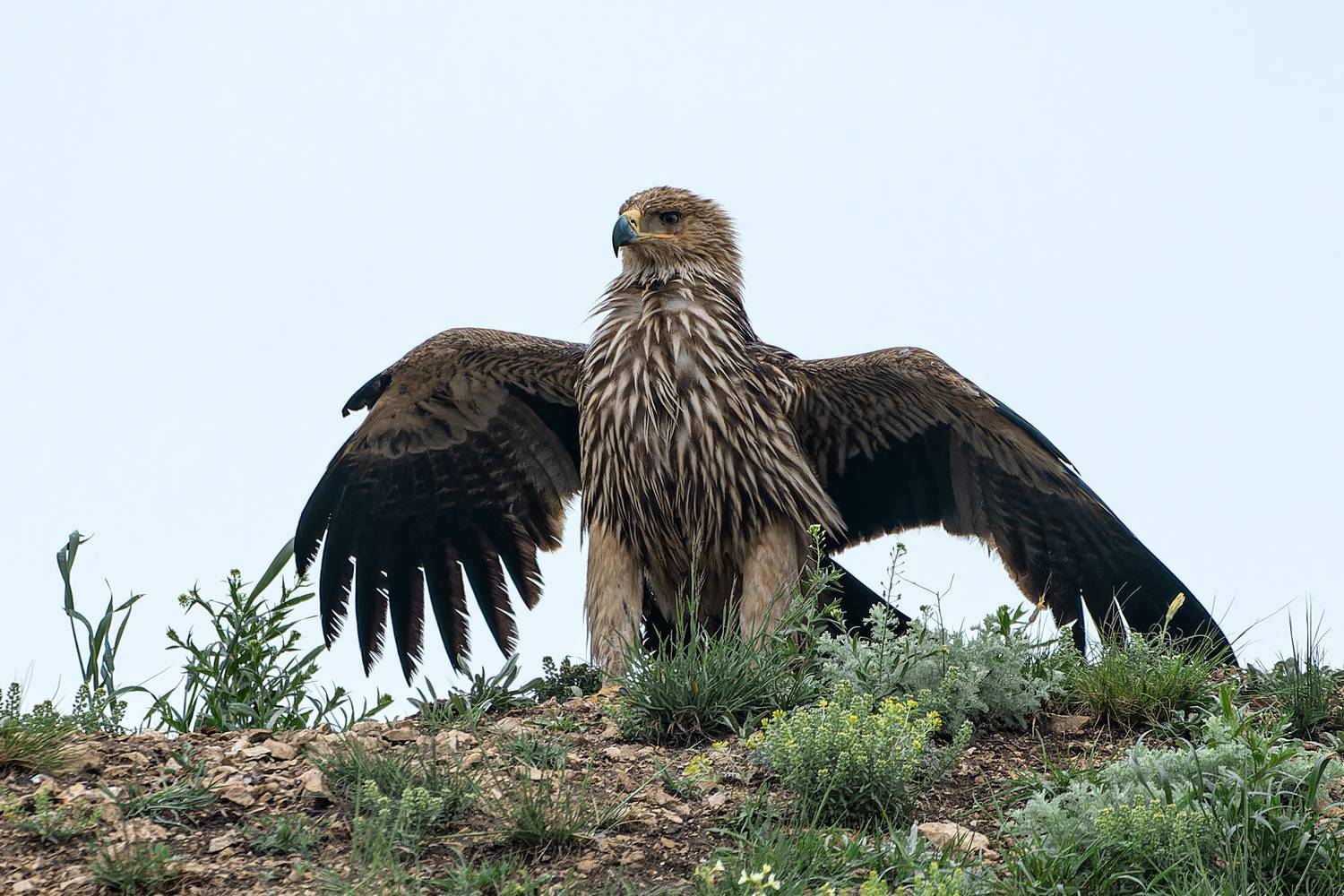 Фотография #13206848