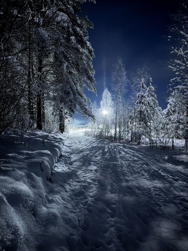 Photograph by Галина Беляева