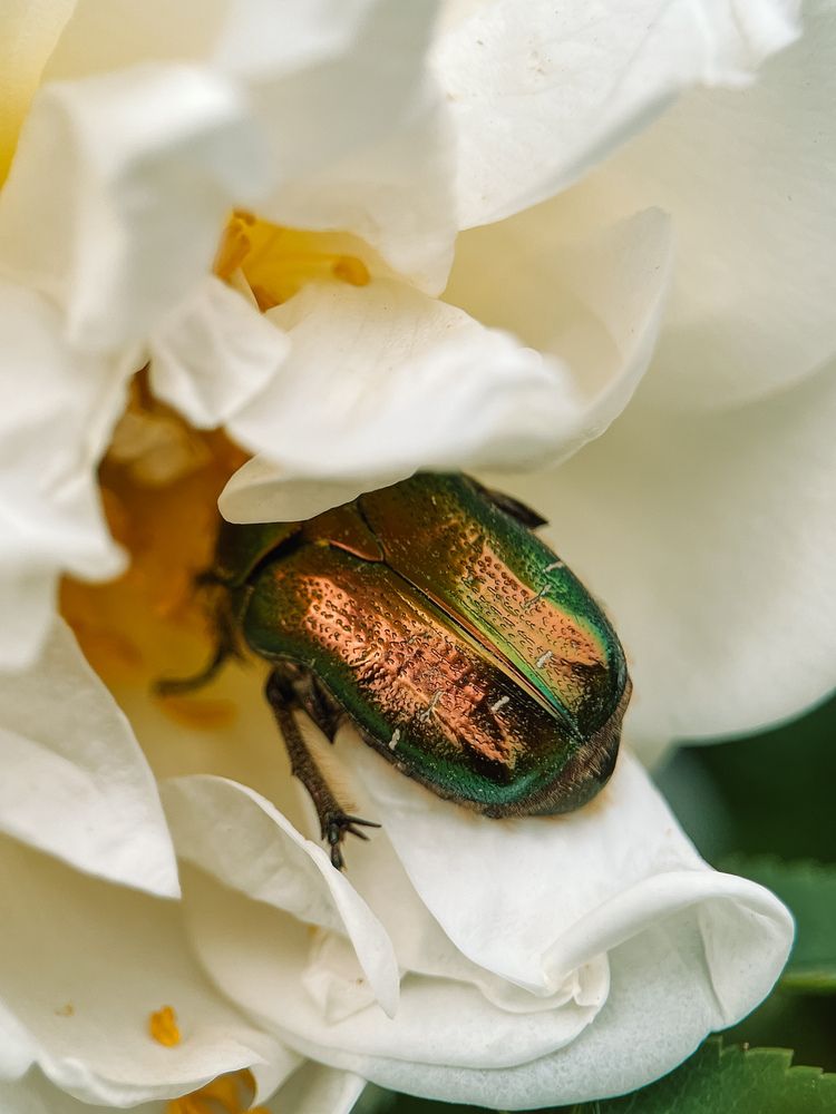 Фотография автора Екатерина Валиуллина