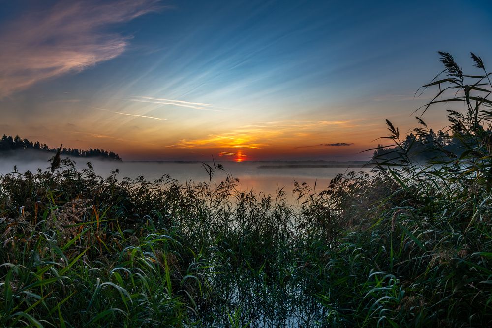 Фотография автора Дмитрий Потапов