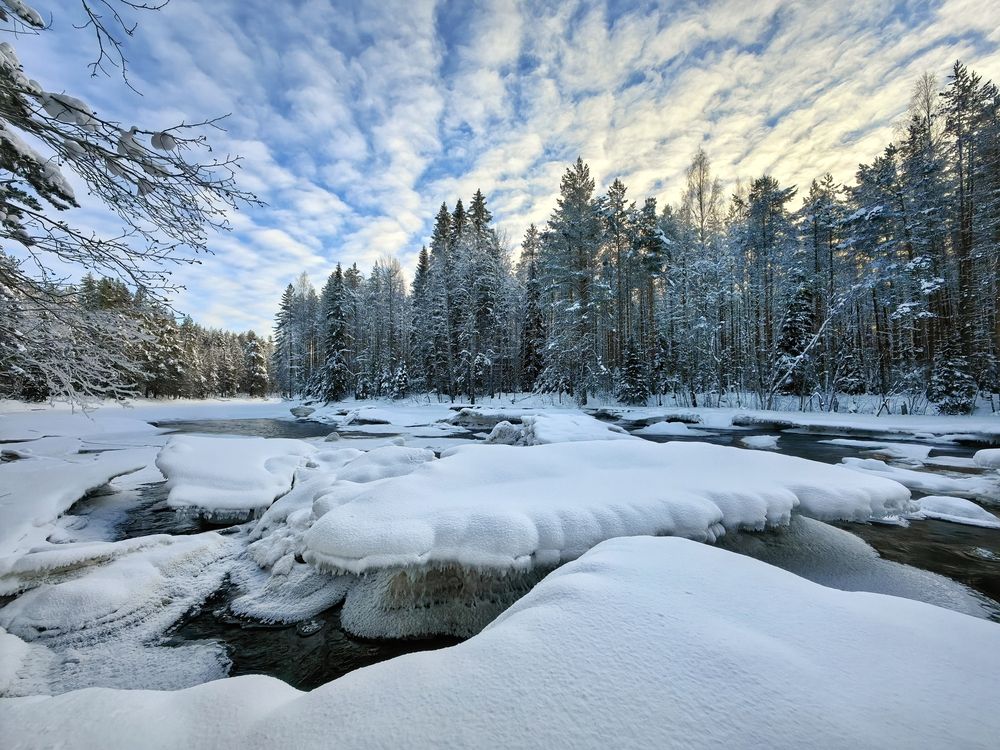 Winter beauty