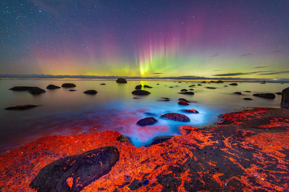 Photograph by Andres Papp