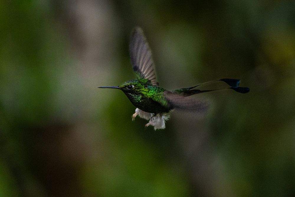 Photograph by Julia A Caesar