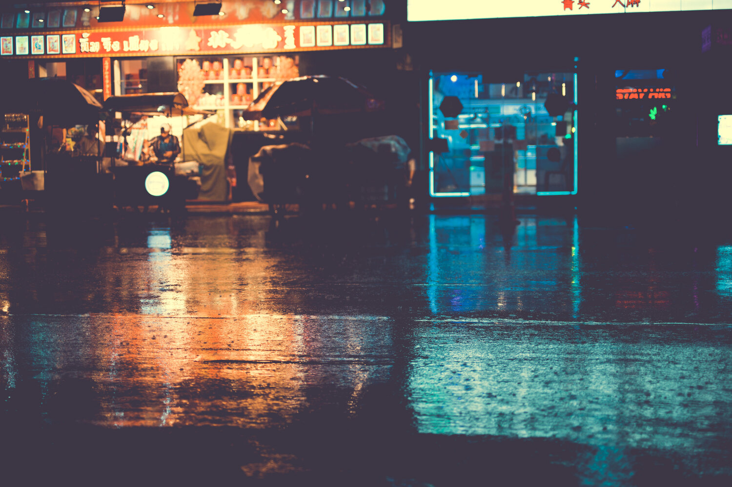 Photo #13206890
