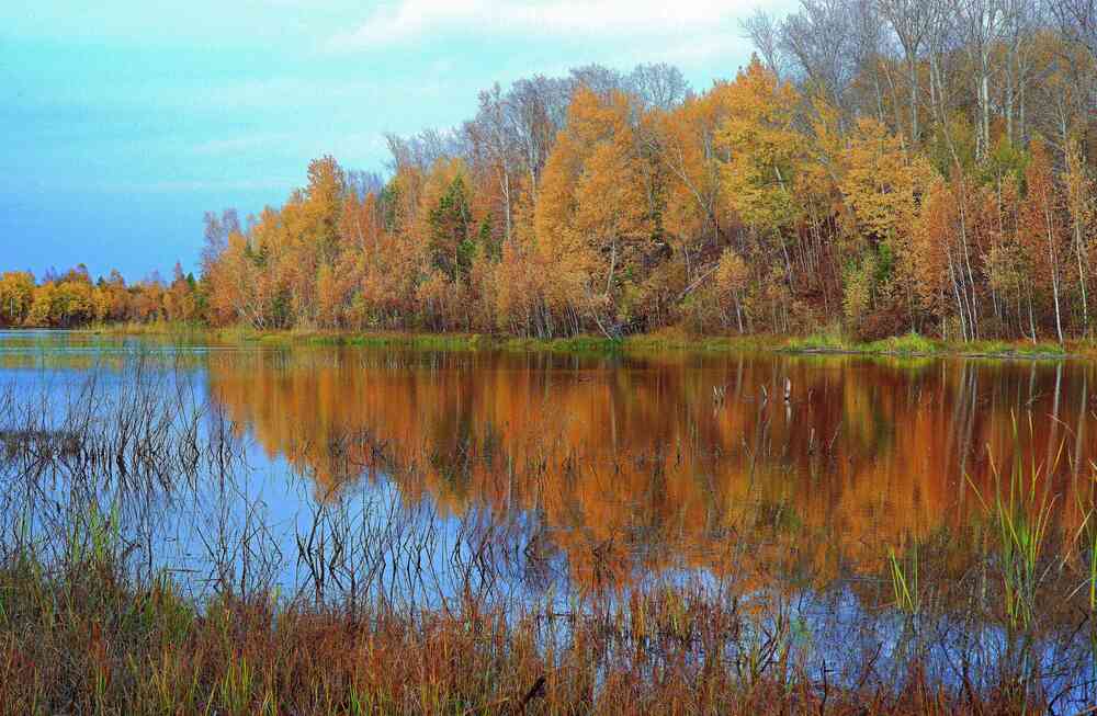 Photograph by Дмитрий Демиденко