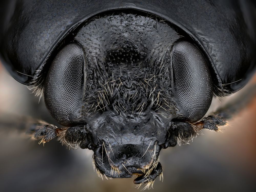 Photograph by Ireneusz Irass Walędzik