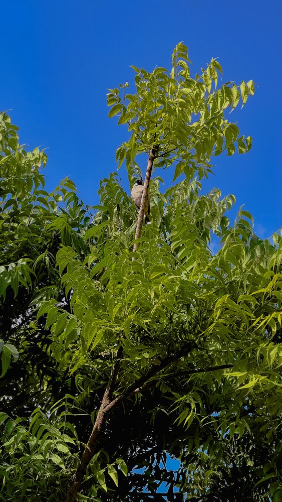 Фотография автора Sarrah Yehia