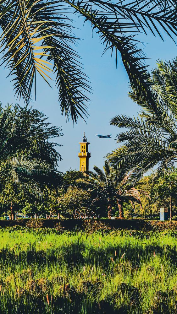 Фотография автора Sarrah Yehia