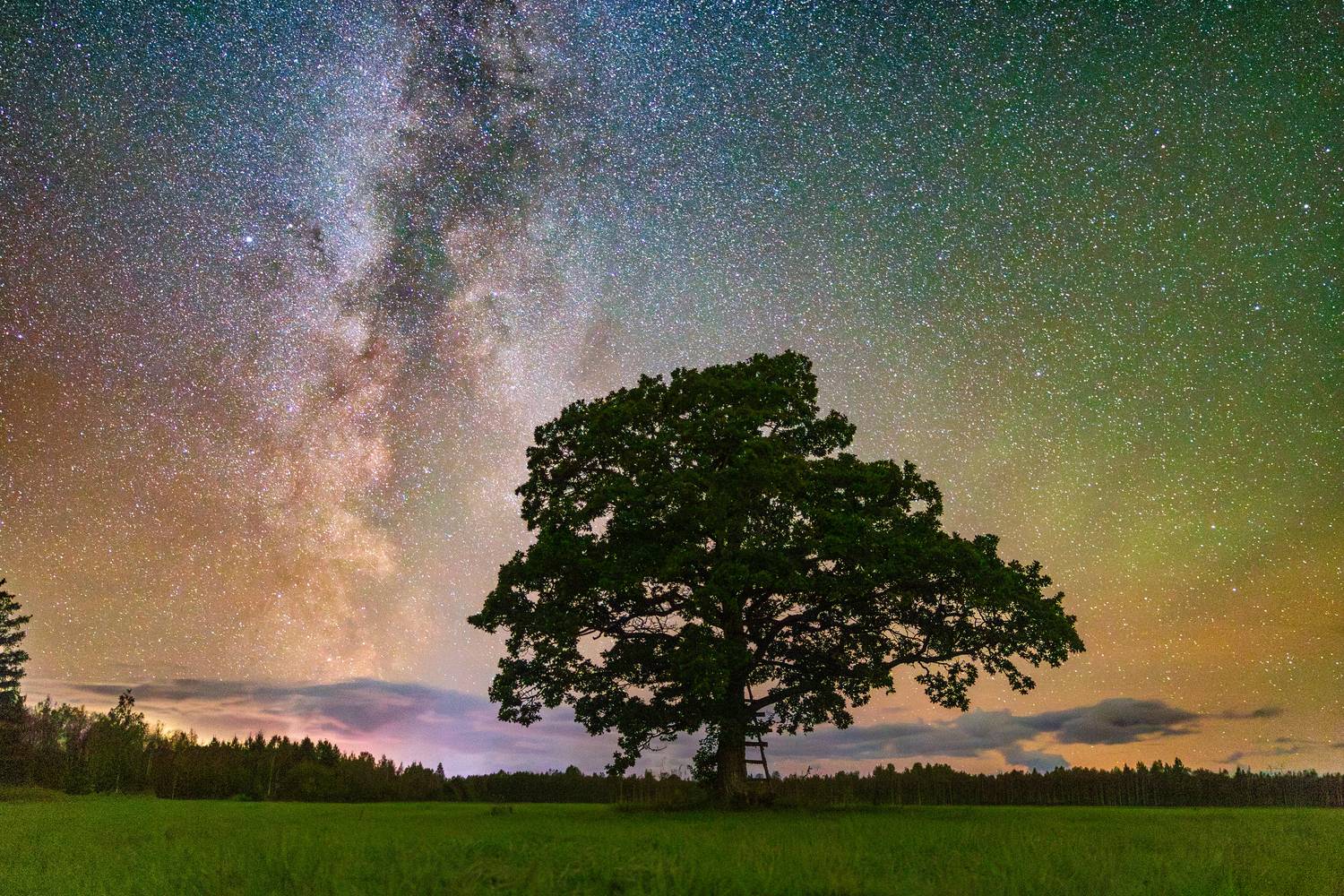 Фотография #13206916