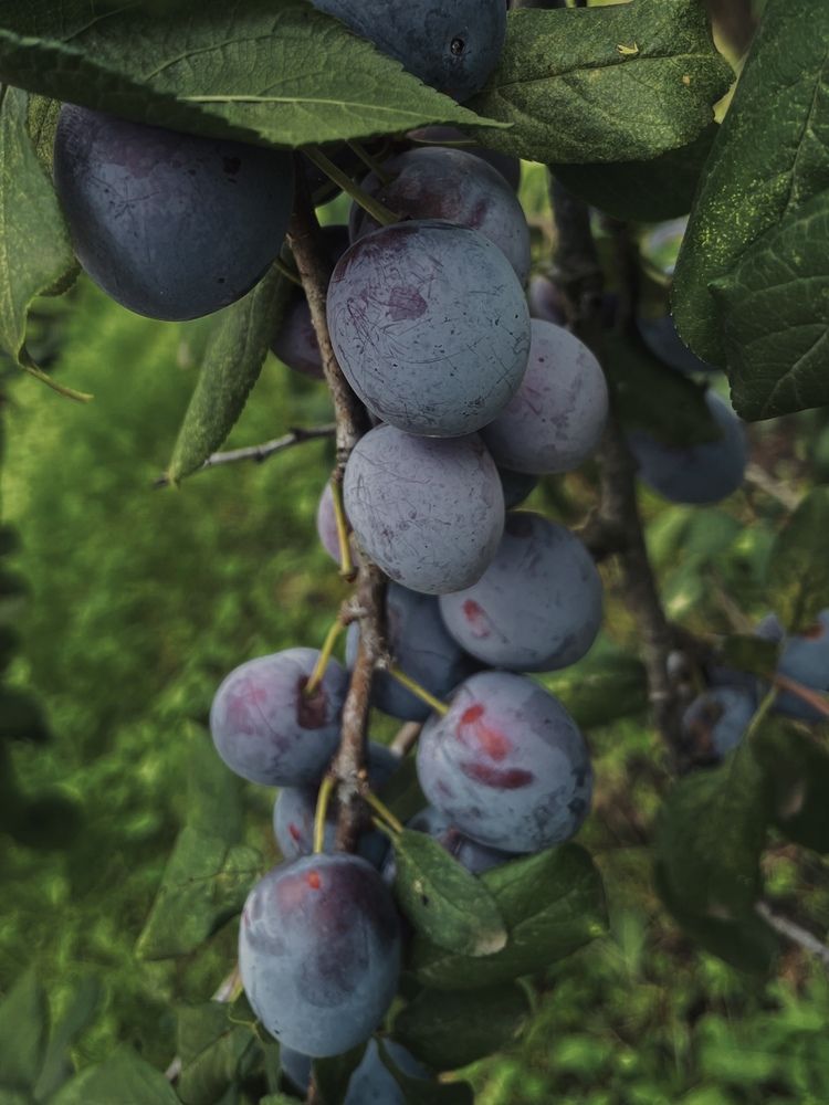 Photograph by Екатерина Кузнецова