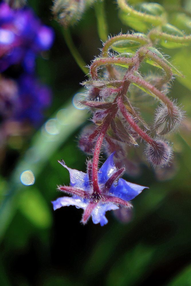 Фотография автора Halyna Khomyk