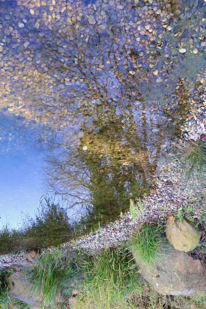 Фотография автора Halyna Khomyk