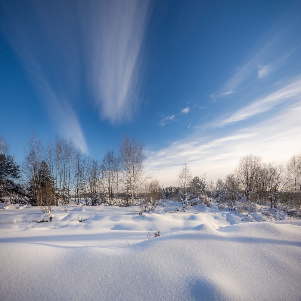 Фотография автора Панагушин Сергей