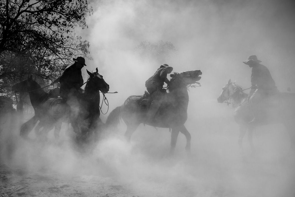 Photograph by FLAVIO SOUZA CRUZ