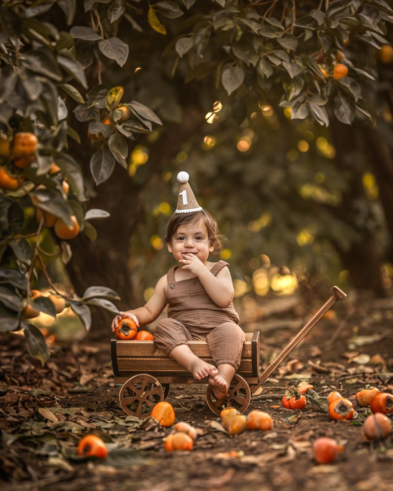 Photograph by Maayan Levi