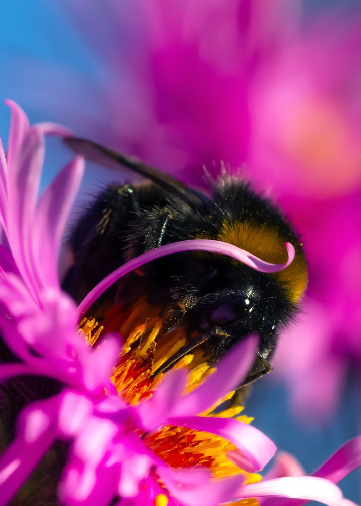 Photograph by Алексей Мартынов