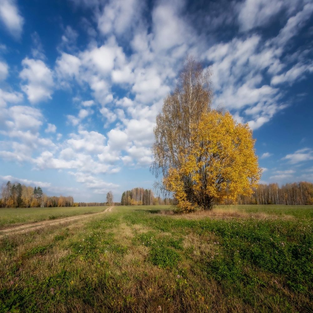 Фотография автора Панагушин Сергей