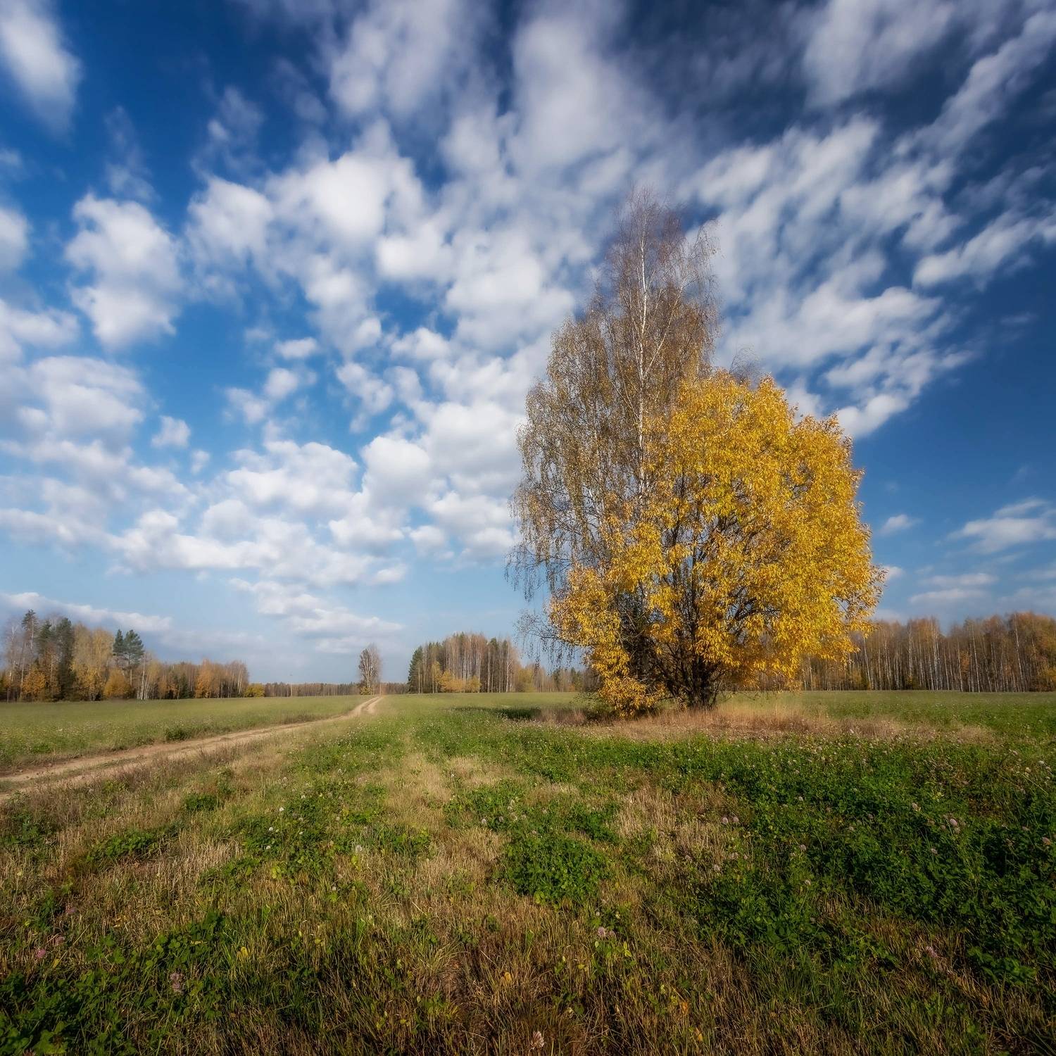 Фотография #13207041