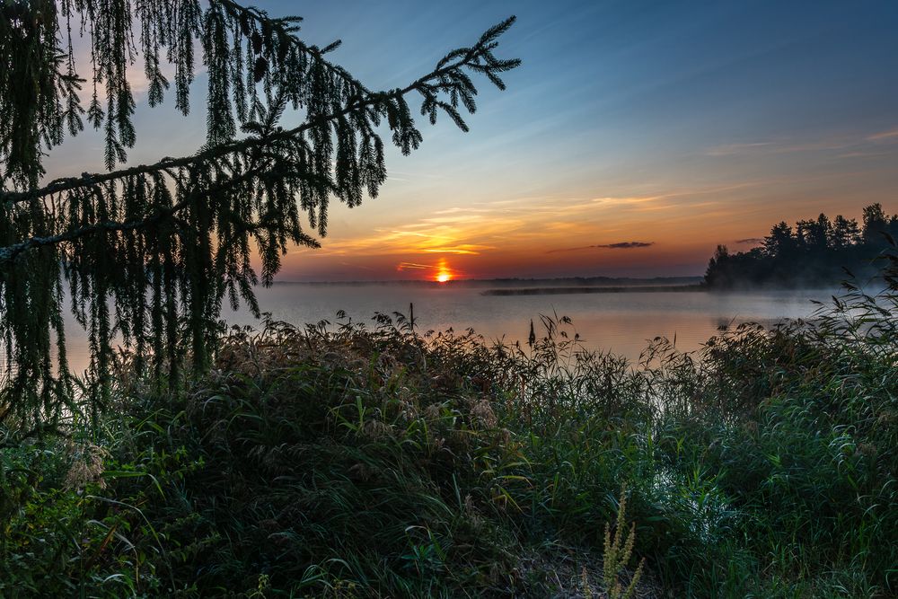 Фотография автора Дмитрий Потапов