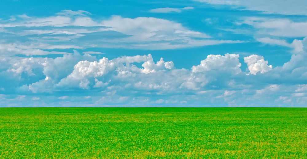 Photograph by Александр Сальников