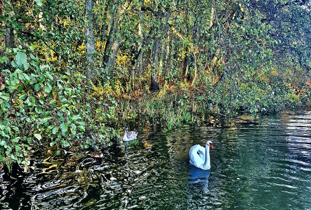 Photograph by Elena Ibragimova