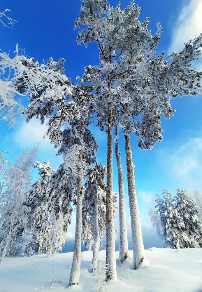 Photograph by Александр Лазебник