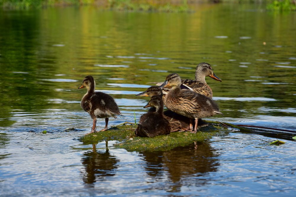 Photograph by Ирина Алексеева