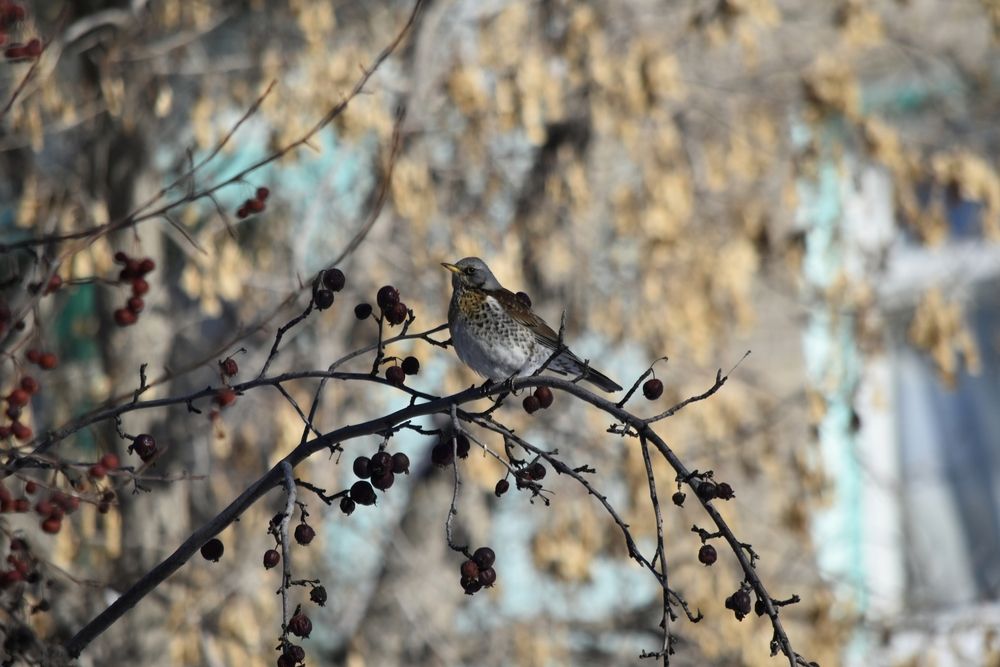 Photograph by Дарья Шуклина