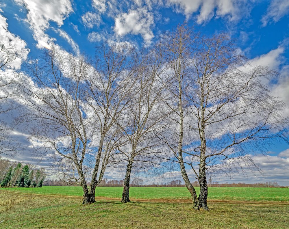 Photograph by Александр Сальников