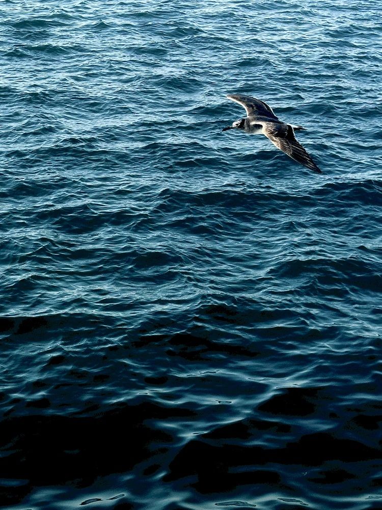 Photograph by Sara Ali