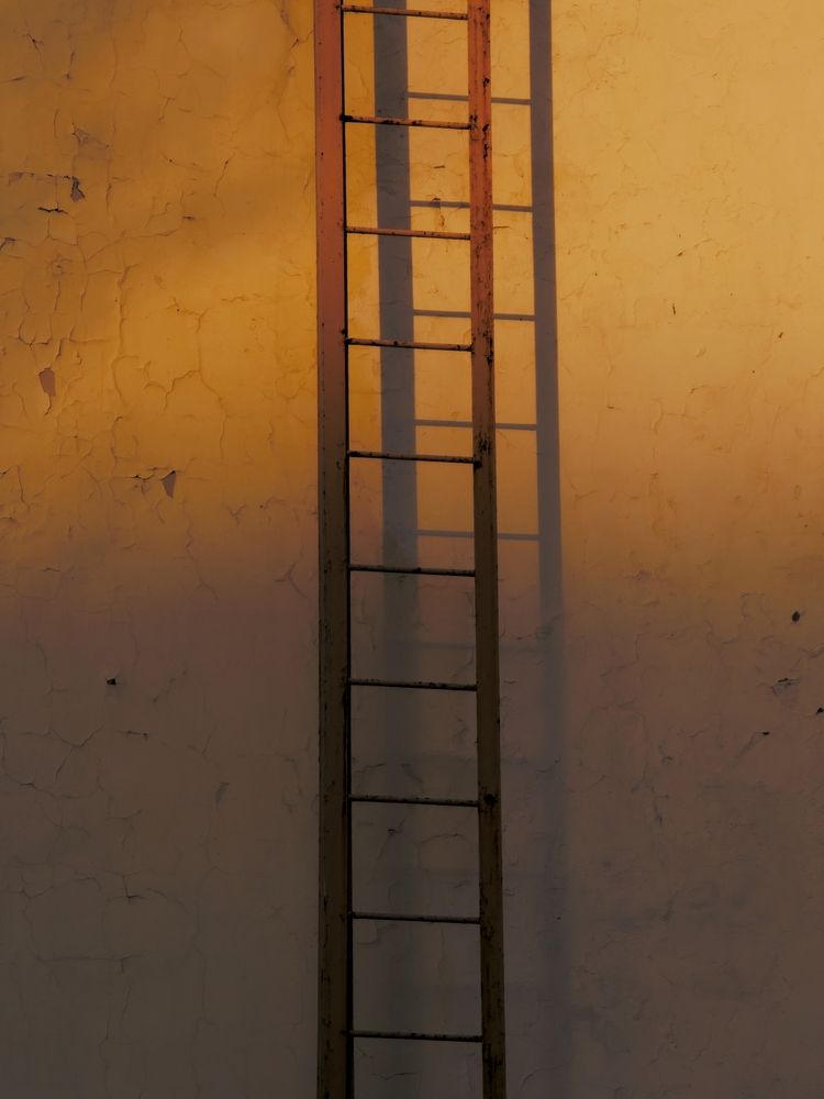 Photograph by Лилия Фролова