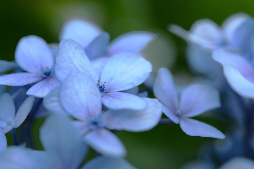 Фотография автора Nobu-Oh