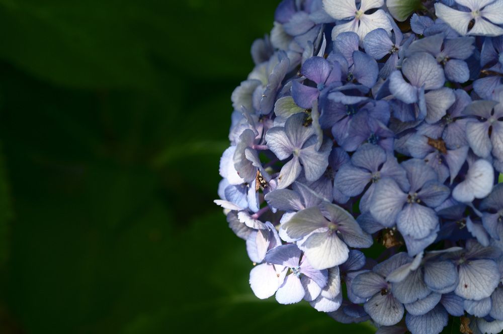 Фотография автора Nobu-Oh