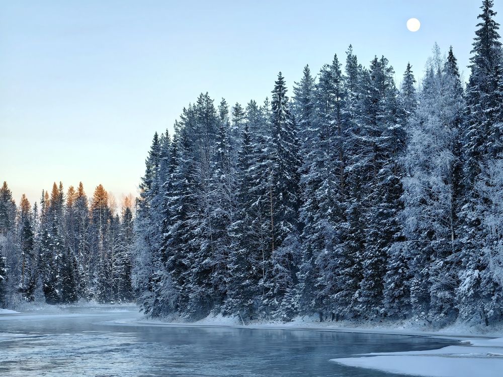Winter moonlit evening