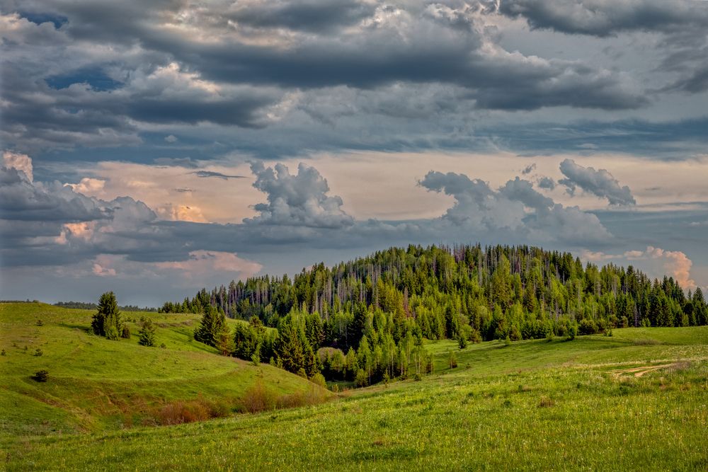 Photograph by Александр Сальников