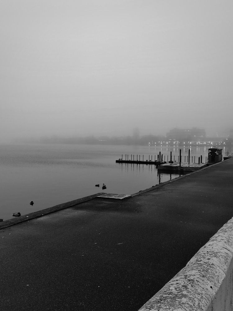 Photo #13207158