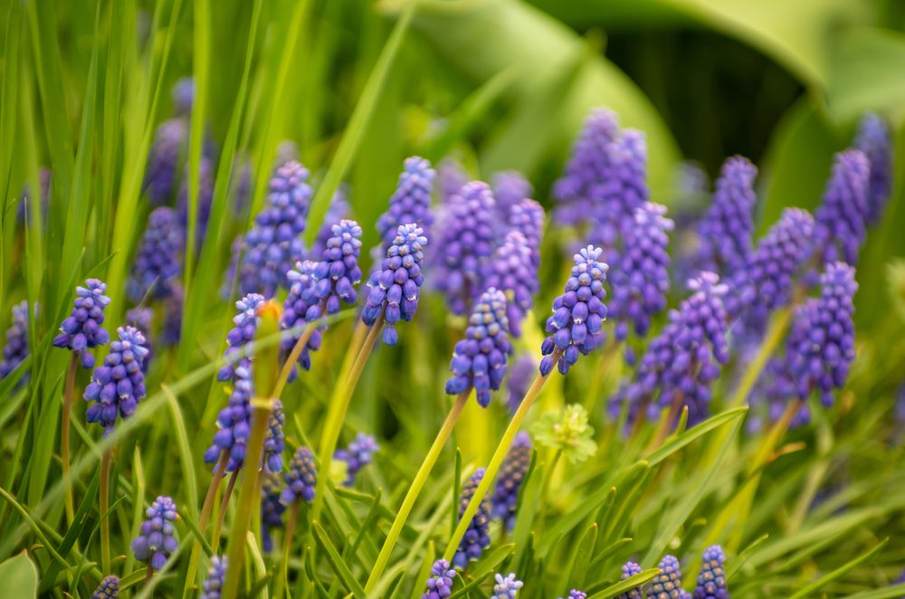 Photograph by Галина Григорьева