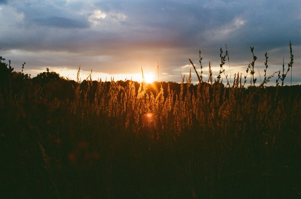 Photograph by Игорь Иофчу