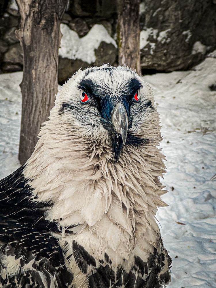 Photograph by Бороздина Мария