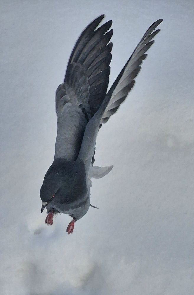 Photograph by Валентина Кузьменко