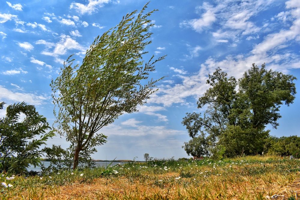 Photograph by Стефан Щербаков
