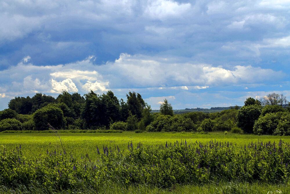 Photograph by Людмила Павловна