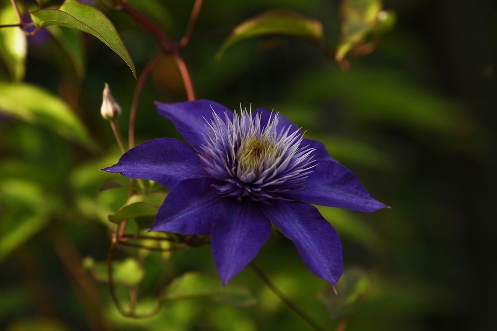 Photograph by Елена Одынец