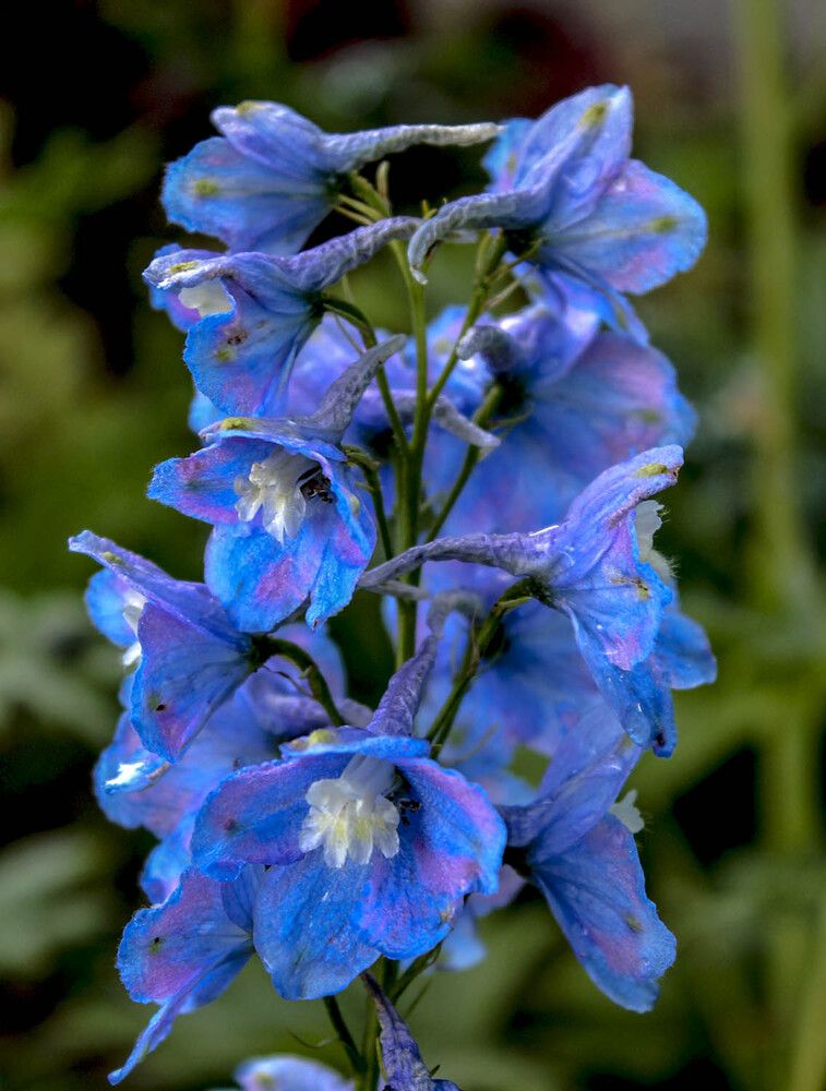 Photograph by Людмила Павловна