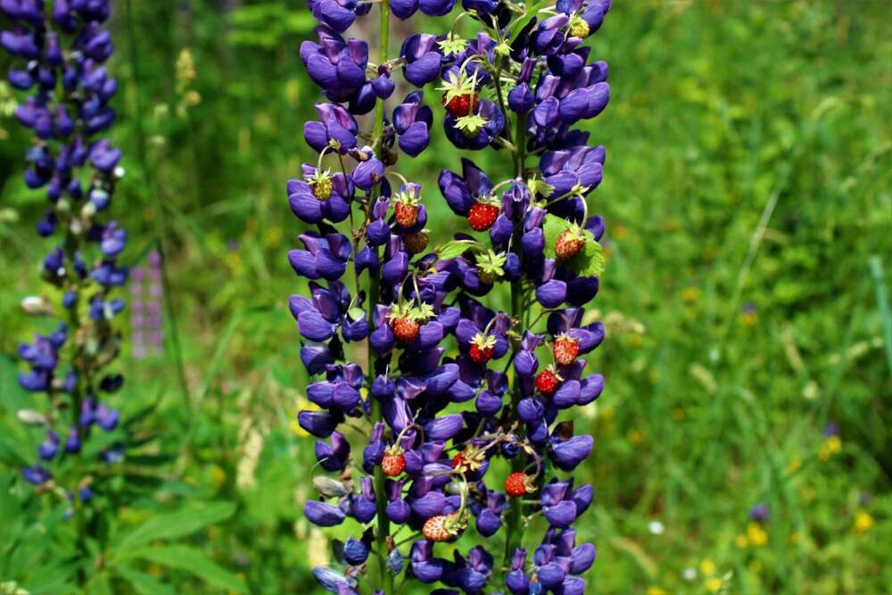 Photograph by Ольга Митрофанова