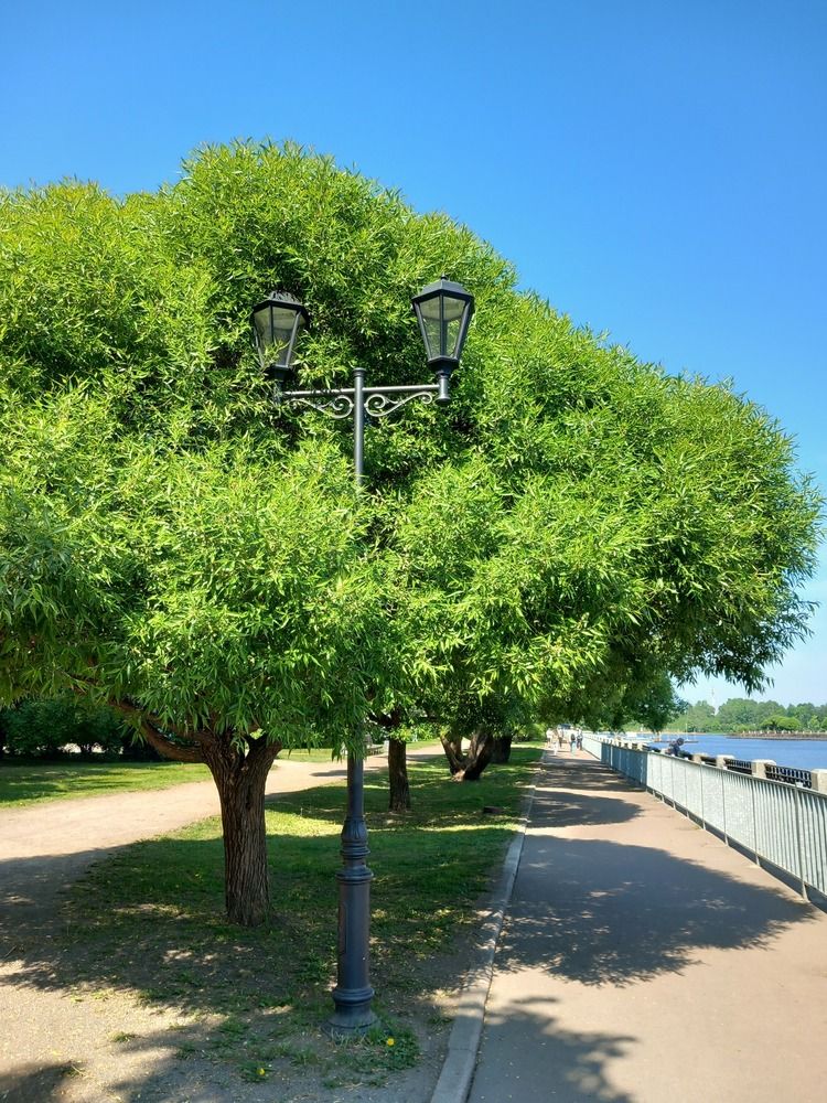 Фотография автора Анастасия Овсянникова