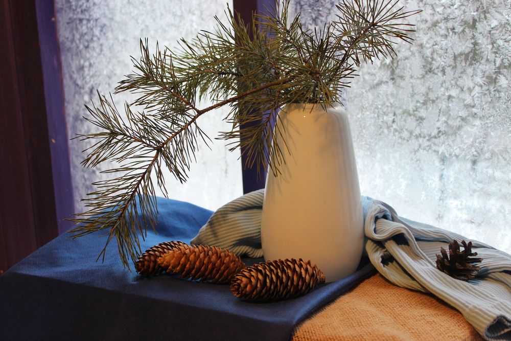 Photograph by Светлана Шубина