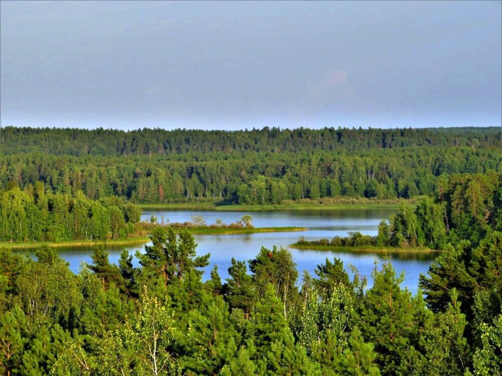 Photograph by Ольга Митрофанова