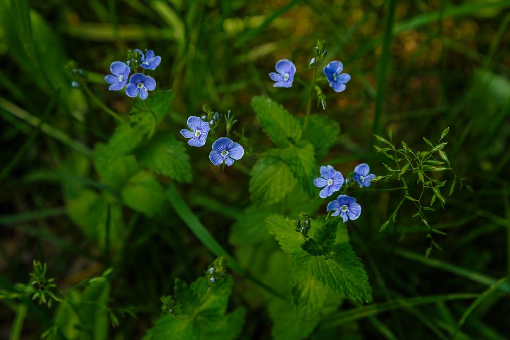 Photograph by Наталья Колеватова